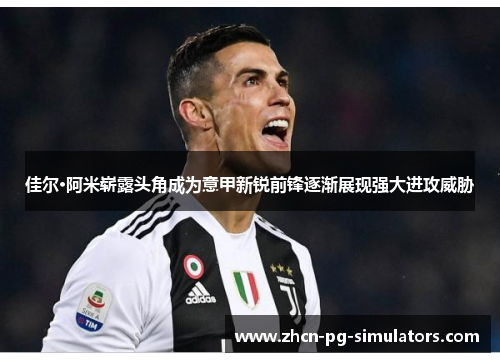 佳尔·阿米崭露头角成为意甲新锐前锋逐渐展现强大进攻威胁